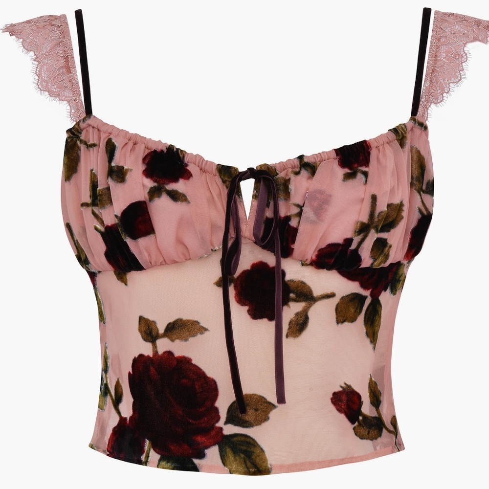 HOUSE OF CB Graciela Devore Velvet Georgette Crop Top